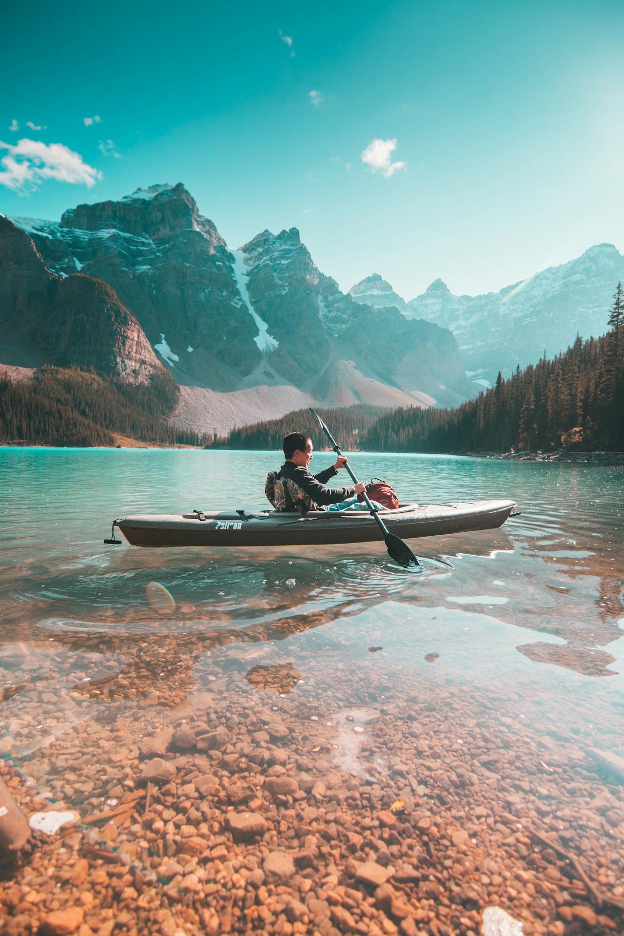Travel and Tourism